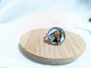 Inel reglabil, Botanical - Thumbnail 1